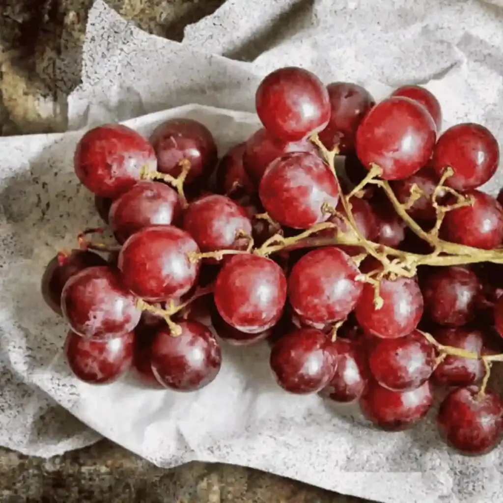 resveratrol
